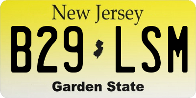 NJ license plate B29LSM