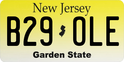 NJ license plate B29OLE