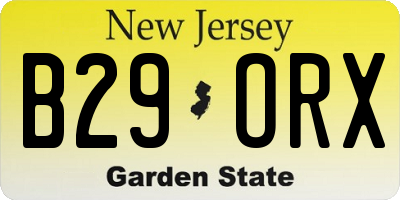 NJ license plate B29ORX
