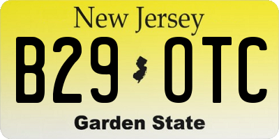 NJ license plate B29OTC