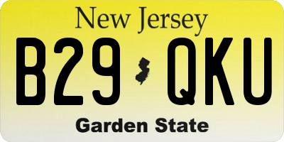 NJ license plate B29QKU