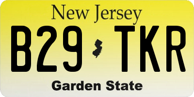 NJ license plate B29TKR