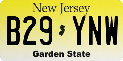 NJ license plate B29YNW