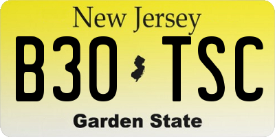 NJ license plate B30TSC