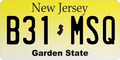 NJ license plate B31MSQ