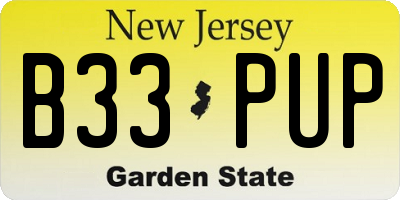 NJ license plate B33PUP