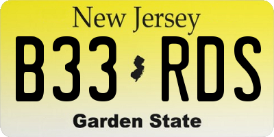 NJ license plate B33RDS