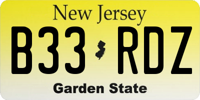 NJ license plate B33RDZ