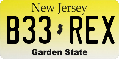 NJ license plate B33REX