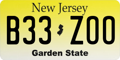 NJ license plate B33ZOO