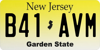 NJ license plate B41AVM