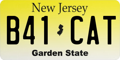 NJ license plate B41CAT