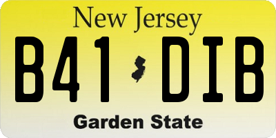 NJ license plate B41DIB
