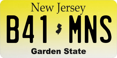 NJ license plate B41MNS