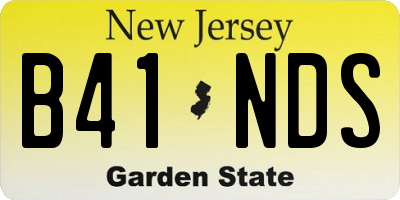 NJ license plate B41NDS