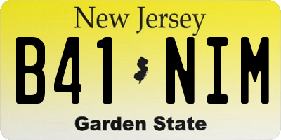 NJ license plate B41NIM