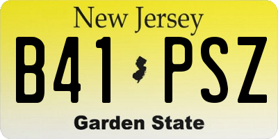 NJ license plate B41PSZ
