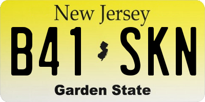 NJ license plate B41SKN