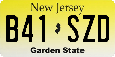 NJ license plate B41SZD