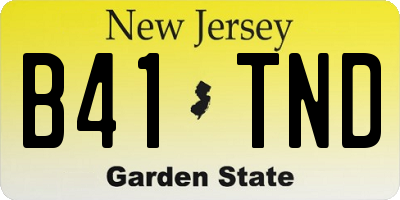 NJ license plate B41TND