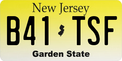 NJ license plate B41TSF