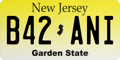 NJ license plate B42ANI