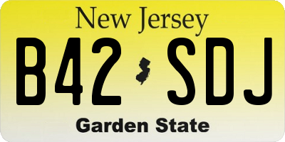NJ license plate B42SDJ