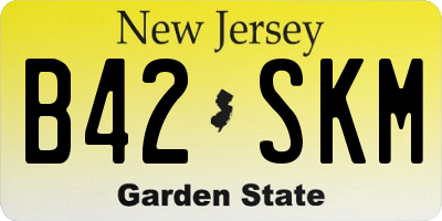 NJ license plate B42SKM