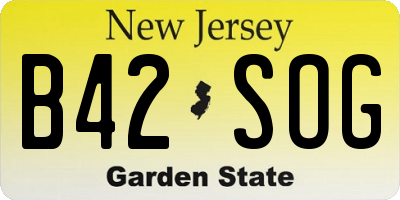 NJ license plate B42SOG