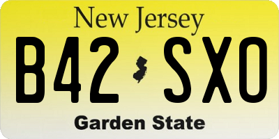 NJ license plate B42SXO