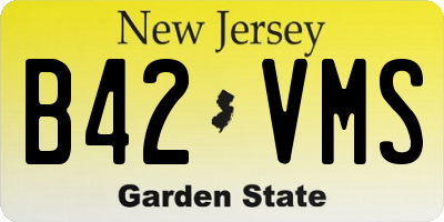 NJ license plate B42VMS
