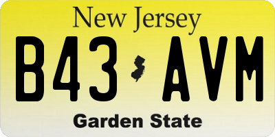 NJ license plate B43AVM