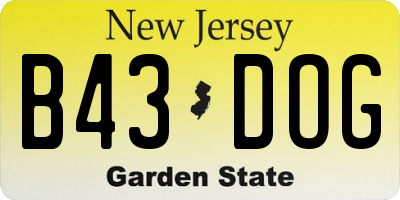 NJ license plate B43DOG