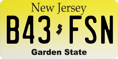 NJ license plate B43FSN