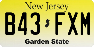 NJ license plate B43FXM