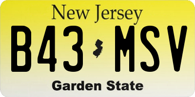 NJ license plate B43MSV