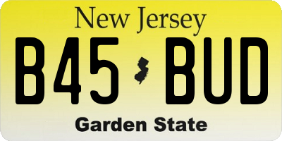 NJ license plate B45BUD