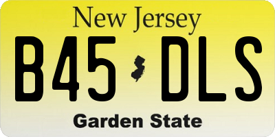 NJ license plate B45DLS