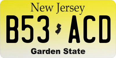 NJ license plate B53ACD