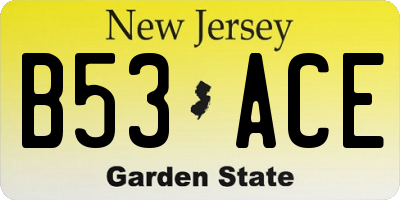 NJ license plate B53ACE