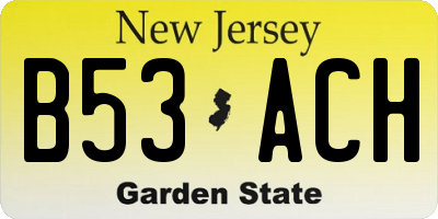 NJ license plate B53ACH