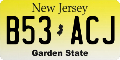 NJ license plate B53ACJ