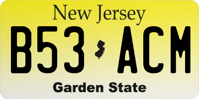 NJ license plate B53ACM