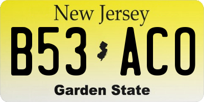 NJ license plate B53ACO