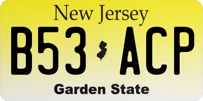 NJ license plate B53ACP