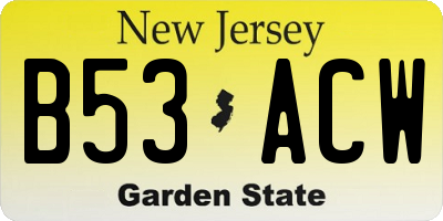 NJ license plate B53ACW