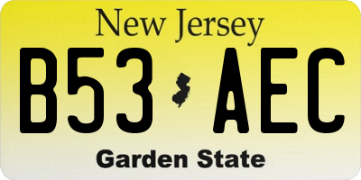 NJ license plate B53AEC