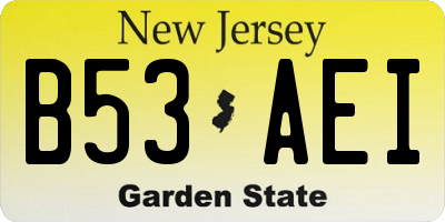 NJ license plate B53AEI