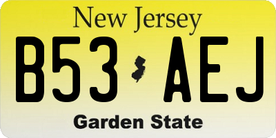 NJ license plate B53AEJ