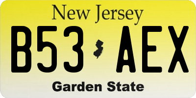 NJ license plate B53AEX